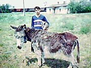 В самоволку за пивом